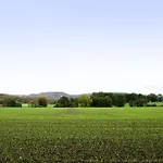 De Luettje Utkiek