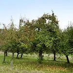 De Luettje Utkiek Апартаменты Ганн. Мюнден