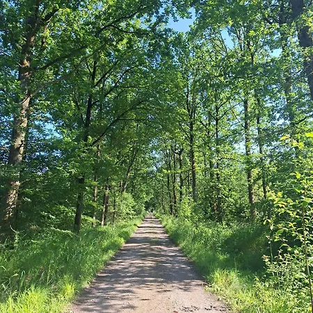 Lejlighed De Luettje Utkiek