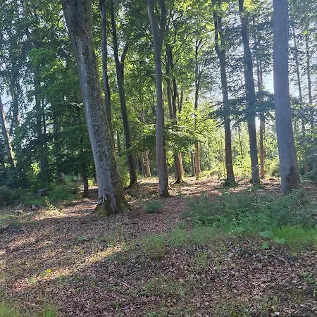 De Luettje Utkiek